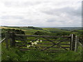 View across the Valley of the Stones in DT2 9HX