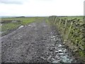 Farmland track, between Briscoerigg and Rigg Farms in HG3 1FB
