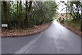 Looking east on Hollow Lane in GU25 4RR