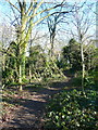 Path in Weston Hills Nature Reserve in SG7 6FH