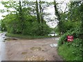 Pond beside entrance to Grove Farm, Hainford in NR10 3BW