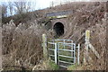 Stile and tunnel to Mickle Trafford in CH2 4EG
