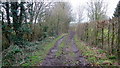 Bridleway to Slade Wood in WR7 4LT