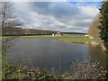 New lake by Ladyseat Farm in PE7 3PR