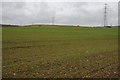 Arable land near Foxwalks Farm in B61 7EL