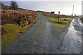 Start of the Bridleway towards Stephen's Grave in PL19 9NU