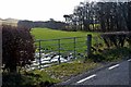 Fields and woods at Milton, west Bute in Isle of Bute Ward