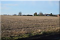 Stubble by Mattishall Rd in NR20 3HB