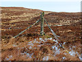 Weathered strainer post at Airigh Nic a' Phersoin in IV55 8GD
