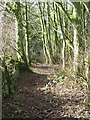 Bridleway into Beadale Valley in YO18 8PT
