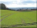 Winter cereal crop in shallow valley in YO18 8PT
