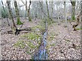 Stubby Copse Inclosure, ditch in Brockenhurst & Denny Lodge Ward
