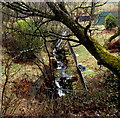 Fenced stream towards High Street Abergwynfi in SA13 3YL