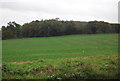 Farmland by Ipswich Rd in IP6 9DJ