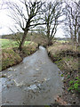 Rainford Brook near Brook Wood in WA10 6PU