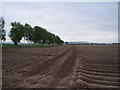 Recently ploughed field. in DD8 5QJ