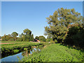 Rich marshland beside the River Nar in PE32 1JG