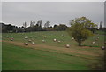Bales near Grendon Bridge in CV9 2EX