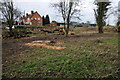 Felled trees at Upton Warren in B61 7ER