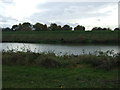 The River Witham near Boston in PE21 9LR