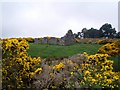 The Ruins of Woodside Cottage, Glenquiech in Angus in DD8 3UB
