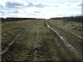 Garton Balk (track) in YO25 3AB