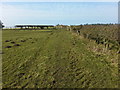 Footpath ascending to Highside Farm in NE46 3RN