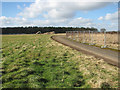 Security fencing at the former RAF Coltishall in Scottow