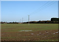 Willingham: fen landscape with poles in CB24 5LS