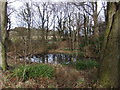 Pond by Carr Lane Scalby in YO13 0SP