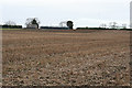 Stubble Field in AB54 6BT
