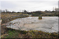 Disused sewage works near Rainhill Stoops in L35 6PF