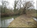 River Nene at Kislingbury Bridge (1) in Kislingbury