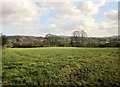 Field by Wayford Hill in TA18 8PU