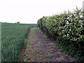 The Footpath from High Catton to Wilberfoss in YO41 1EE