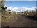 Field entrance off Mellis Road in Thrandeston