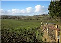 Farmland near West Swilletts Farm in DT8 3RD