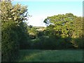 Towards Lower Checkridge Farm in EX13 5UD
