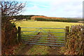 Farmland near Knockman Wood in DG8 6DX