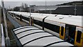 Platform canopy and train roofs at Belvedere Station in DA17 6BG
