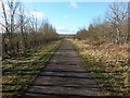 National Cycle Route 7 or C2C Cycle Route between Consett and Hownsgill in DH8 7NU