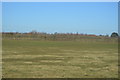 Field by the Fen line in CB25 9NJ