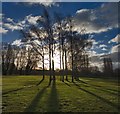 Long shadows on the golf course, Hull in HU10 6FX