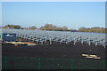 Chittering Solar Farm (construction) in CB6 3FT