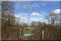 Electricity pylon by footpath in RG2 9EA