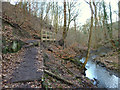 Footpath along Dean Brook, Dean Wood in WN5 8QB