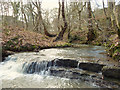 Small waterfall on Dean Brook, Dean Wood in WN5 8QB