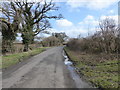 Lane between Lower Halstock Leigh and Halstock in BA22 9SQ