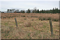 Boggy Former Pasture in AB53 8JL