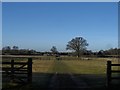 Paddock near Newland Park in HP8 4AB
